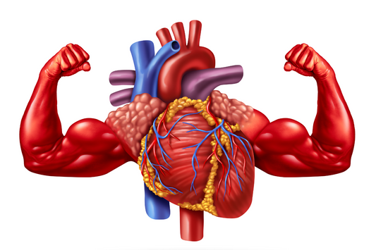 Exercise for a Healthy Heart: A Comprehensive Guide