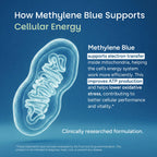 Methylene Blue - 50ml