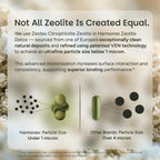 Zeolite Detox - 100 Tablets